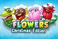 Flowers Christmas Edition